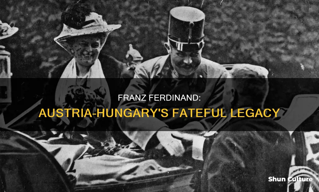 what did austria hungary have to do with franz ferdinand