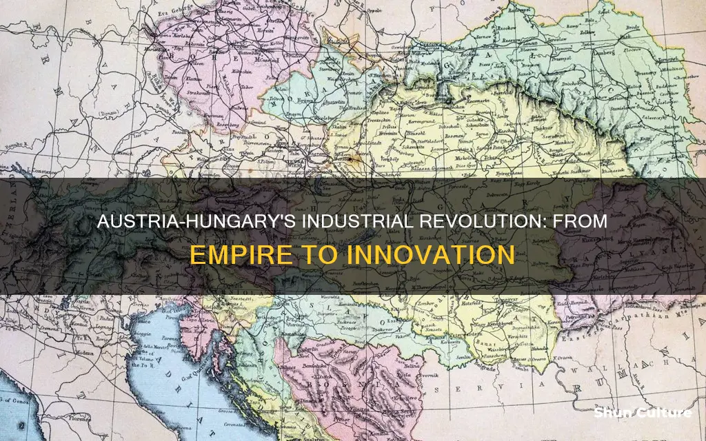 what did austria-hungary industrialize