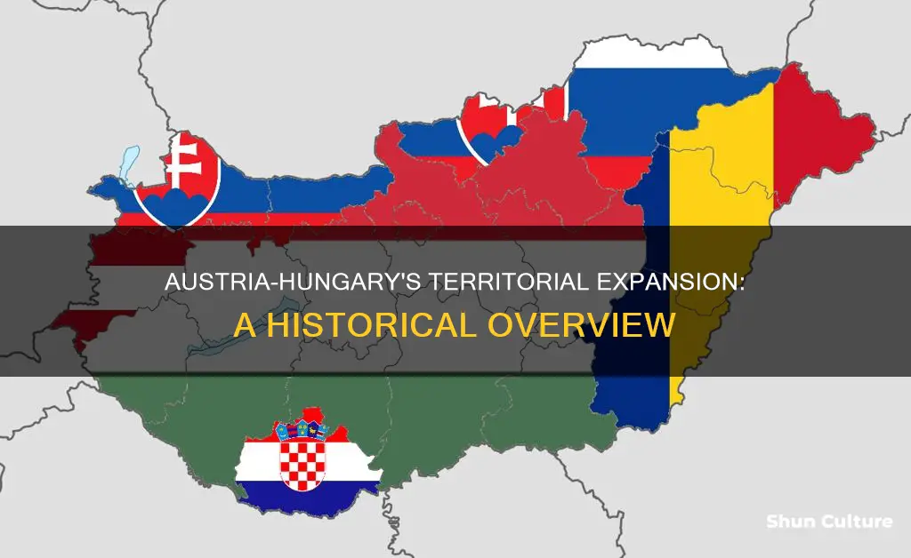 what did austria hungary own