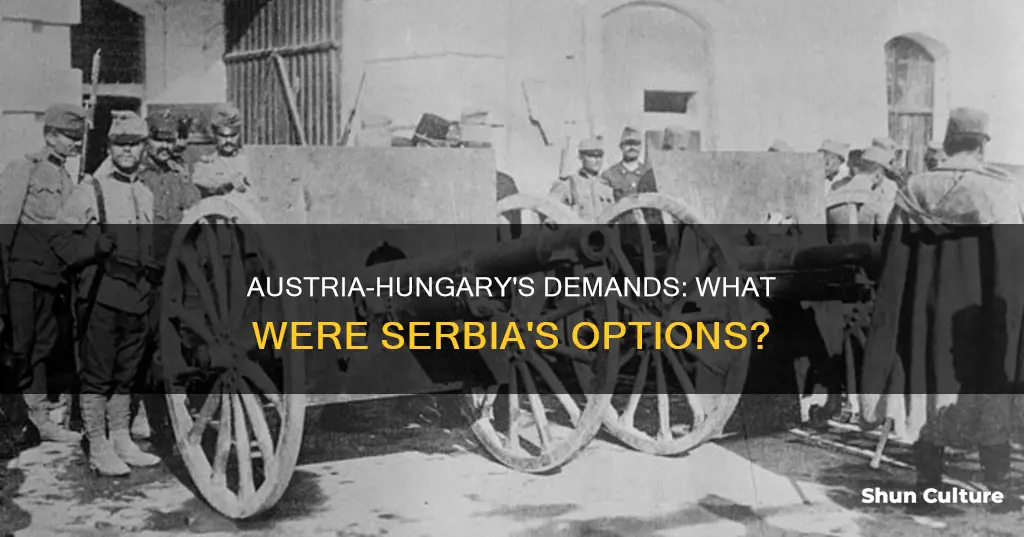 what did austria hungary want from serbia