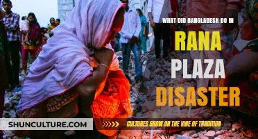 Bangladesh's Response to the Rana Plaza Disaster: Recovery and Reforms