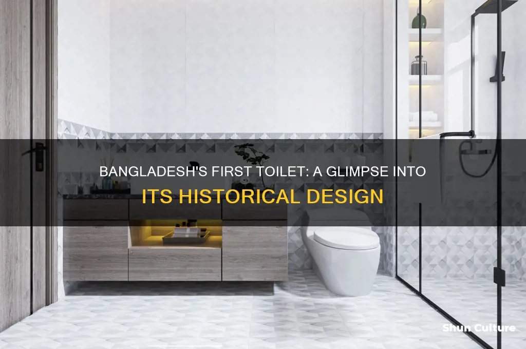 what did bangladesh first toilet look like