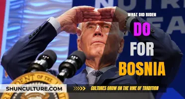 Biden's Bosnia Policy: Diplomacy, Support, and Regional Stability Efforts