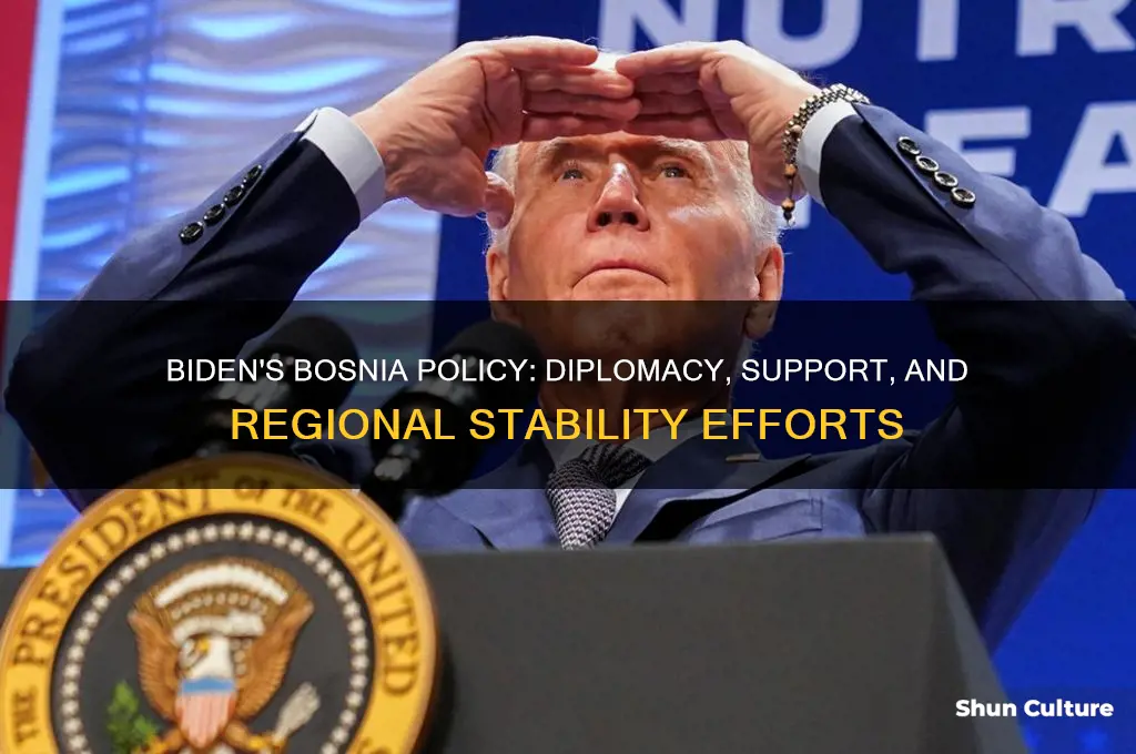 what did biden do for bosnia