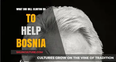 Bill Clinton's Role in Ending the Bosnian War: Key Actions