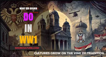 Bosnia's Role and Impact in World War I Explained