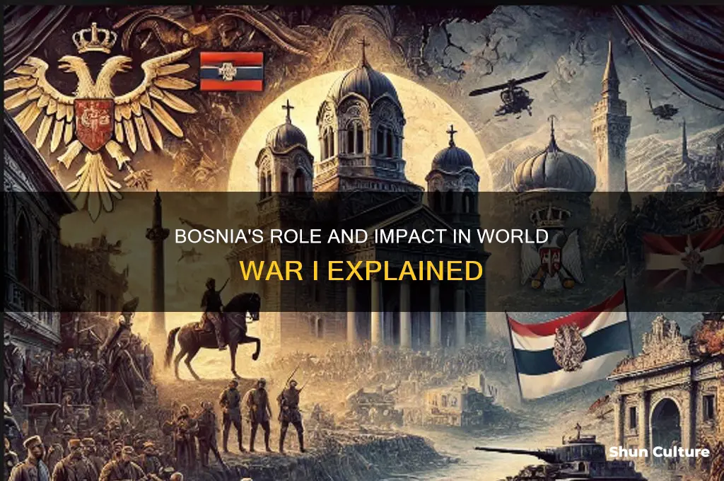 what did bosnia do in ww1