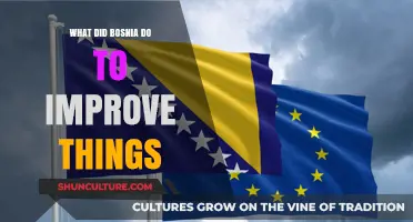 Bosnia's Path to Progress: Key Reforms and Initiatives for Improvement