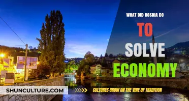 Bosnia's Economic Revival: Strategies and Reforms for Growth and Stability