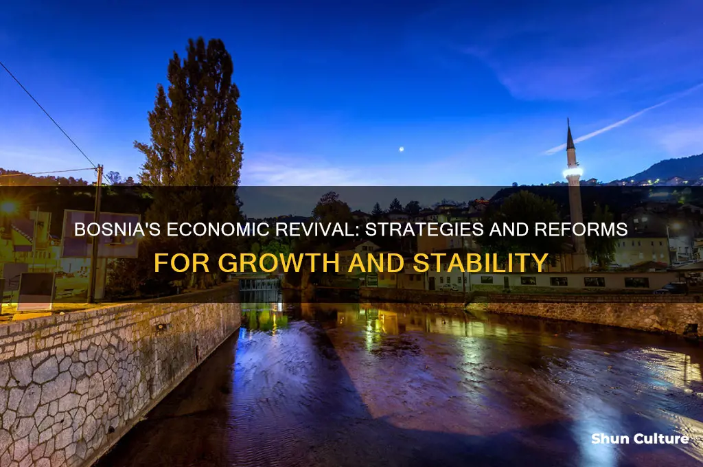 what did bosnia do to solve economy