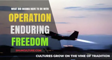 Bosnia's Role in Operation Enduring Freedom: Uncovering the Connection