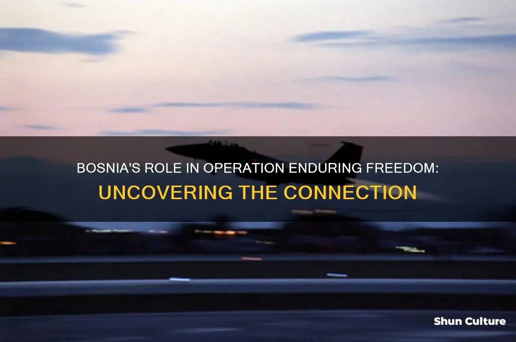 what did bosnia have to do with operation enduring freedom