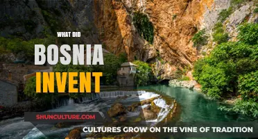 Bosnia's Inventive Legacy: Surprising Contributions to Science and Culture