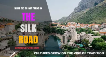 Bosnia's Silk Road Legacy: Trade, Culture, and Historical Connections