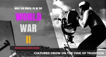 Brazil's Strategic Role and Contributions in World War II