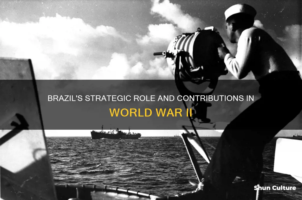 what did brazil do in the world war ii