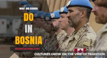 Canada's Role in Bosnia: Peacekeeping, Diplomacy, and Humanitarian Efforts