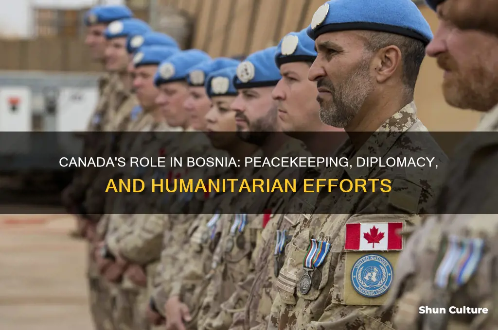 what did canada do in bosnia