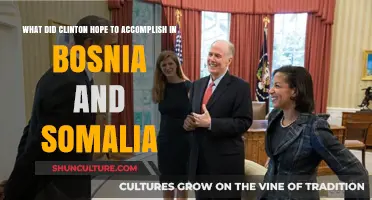 Clinton's Ambitions: Peacekeeping Goals in Bosnia and Somalia Explored
