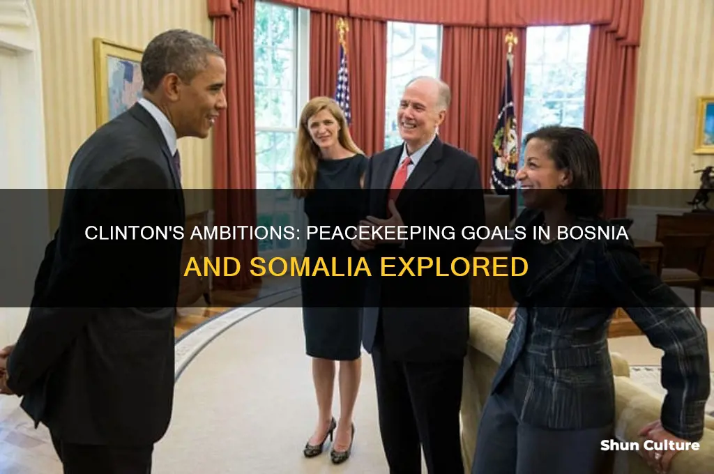 what did clinton hope to accomplish in bosnia and somalia
