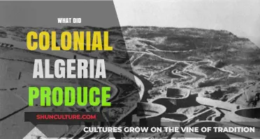 Colonial Algeria's Economic Output: Key Products and Industries Explored