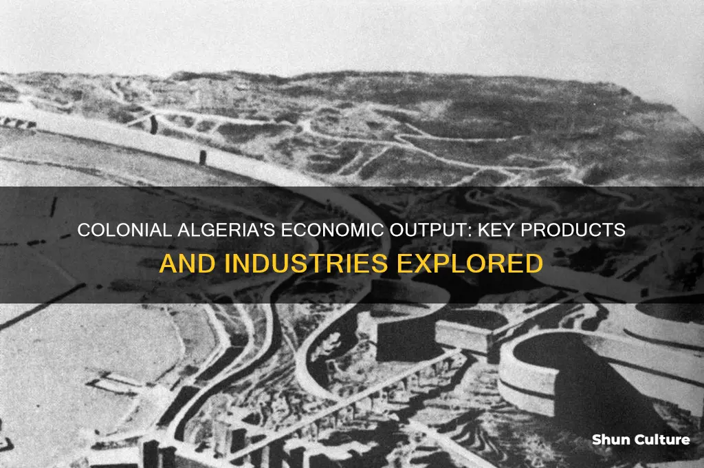 what did colonial algeria produce