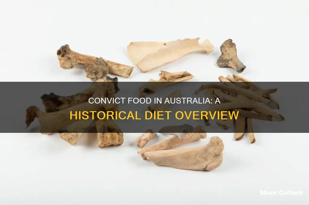 what did convicts eat in australia
