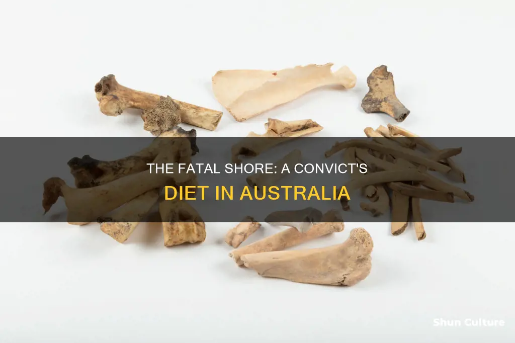 what did convicts in australia eat the fatal shore
