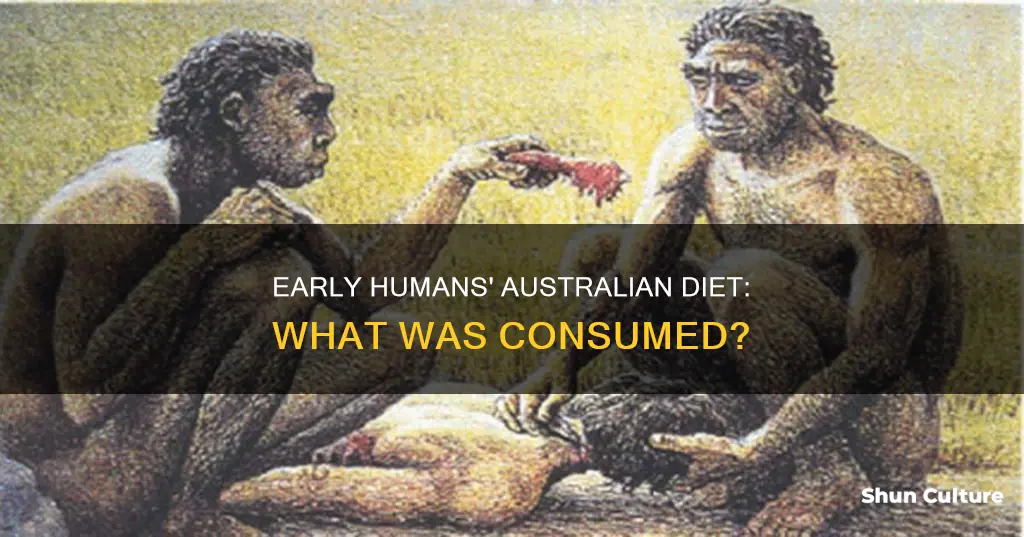 what did early humans eat in australia