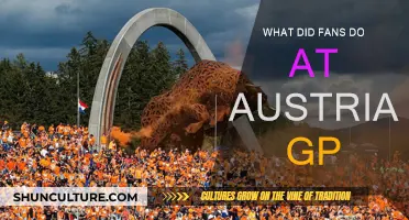 Fan Frenzy at Austrian GP: A Recap