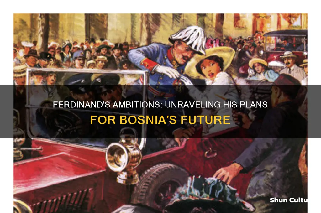 what did ferdinand hope to do in bosnia