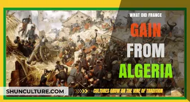 France's Algerian Legacy: Resources, Influence, and Cultural Exchange Explored