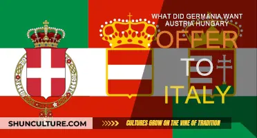 Germania's Offer: What Did Italy Want?