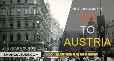 Germany's Annexation of Austria: Understanding the Past