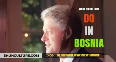 Hillary Clinton's Bosnia Visit: Facts, Controversies, and Misconceptions Explained