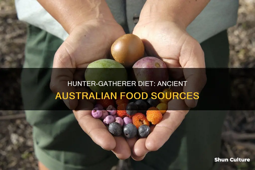 what did hunter gatherers eat in australia