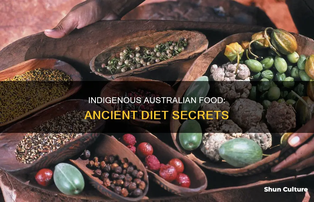 what did indigenous australia eat