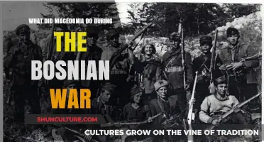 Macedonia's Role and Response During the Bosnian War: An Overview