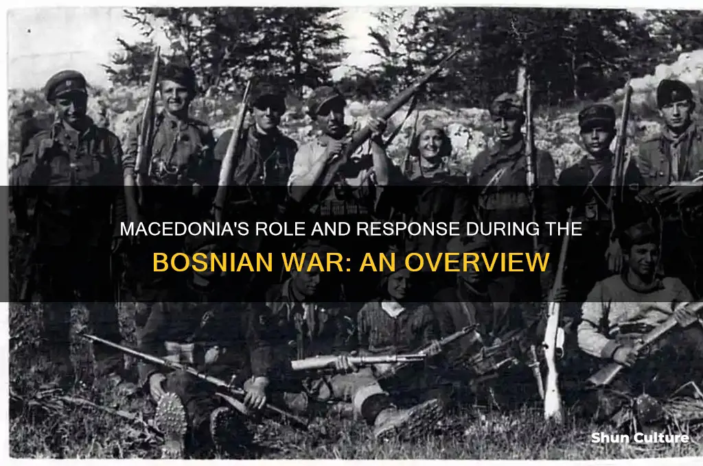 what did macedonia do during the bosnian war