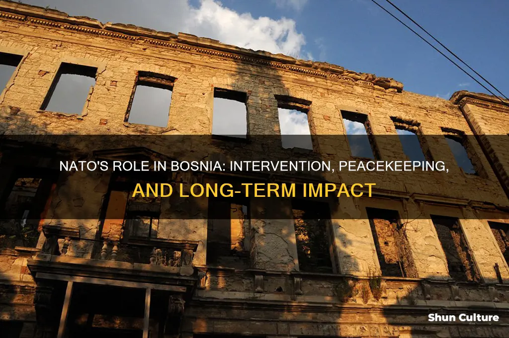 what did nato do in bosnia