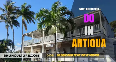 Nelson's Legacy: Uncovering His Impactful Actions in Antigua