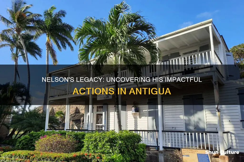 what did nelson do in antigua