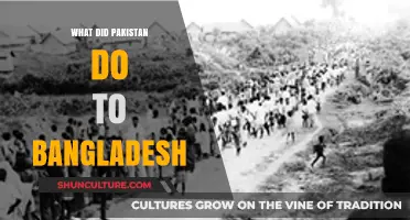 Pakistan's Actions in Bangladesh: A Historical Overview of the 1971 War