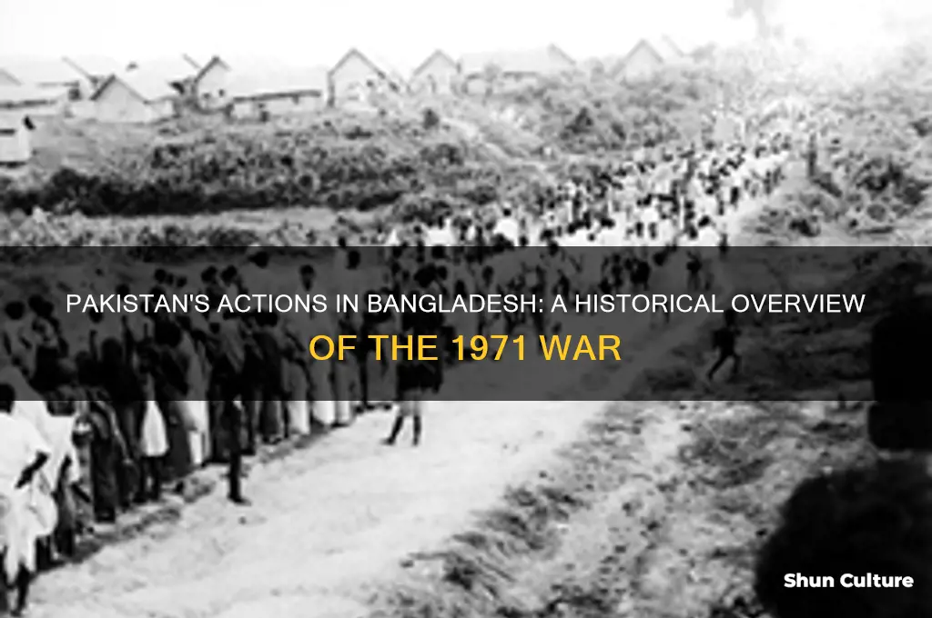 what did pakistan do to bangladesh