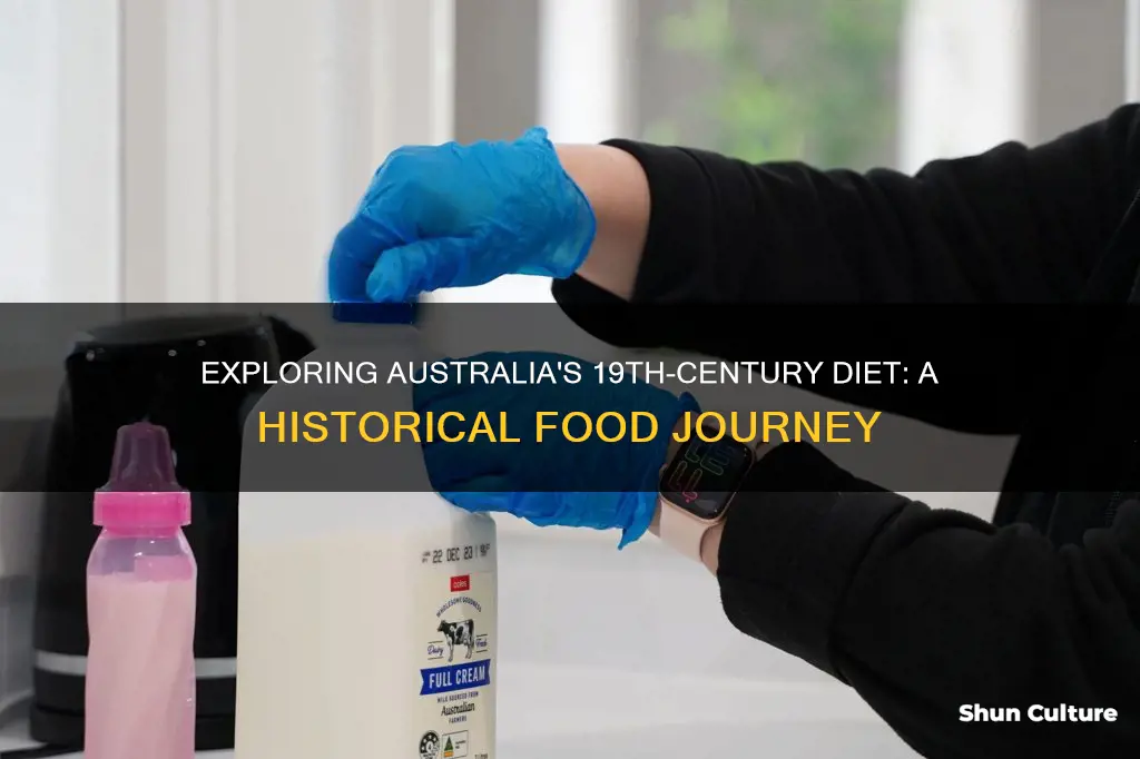 what did people eat in the 1800s australia