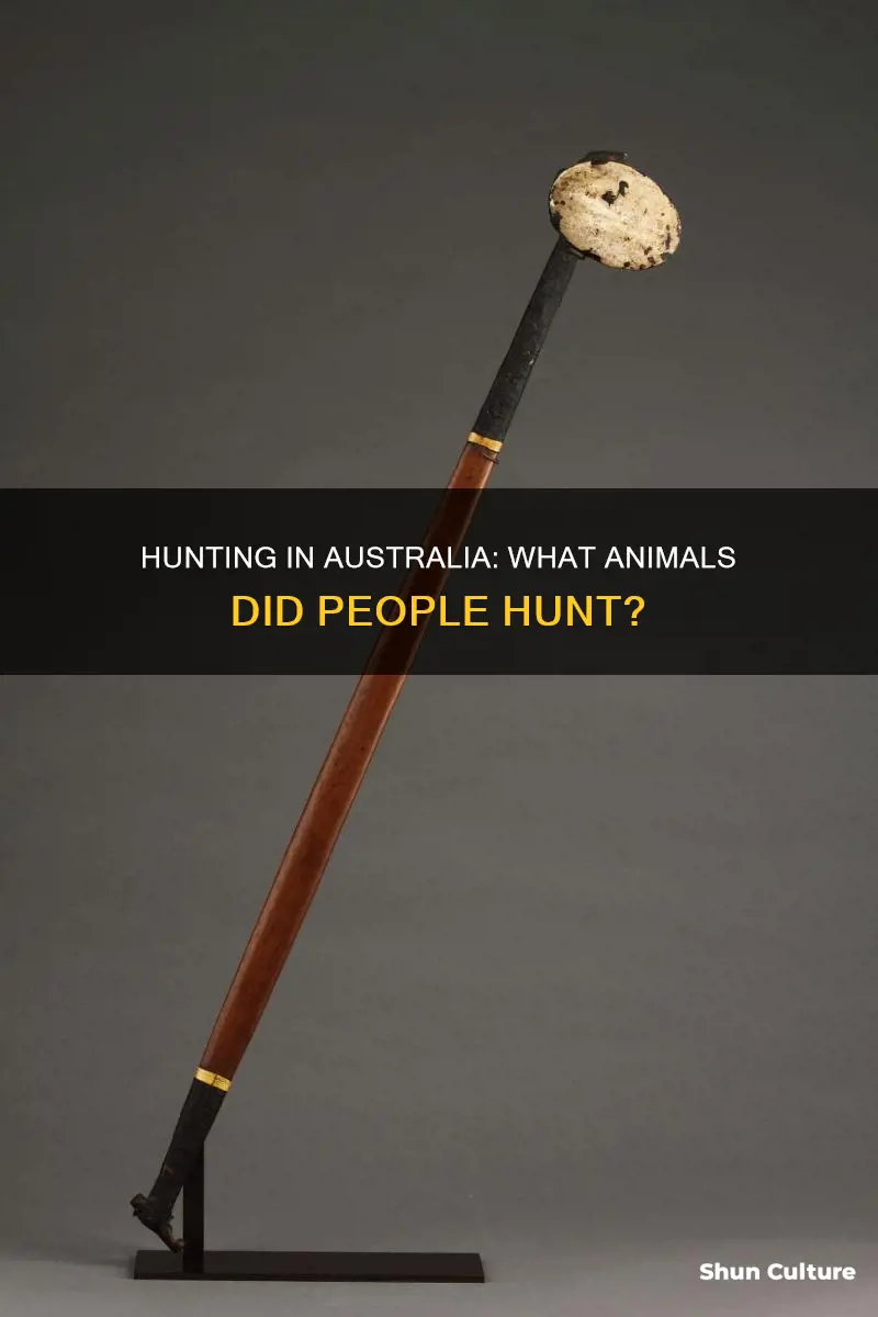 what did people hunt in australia
