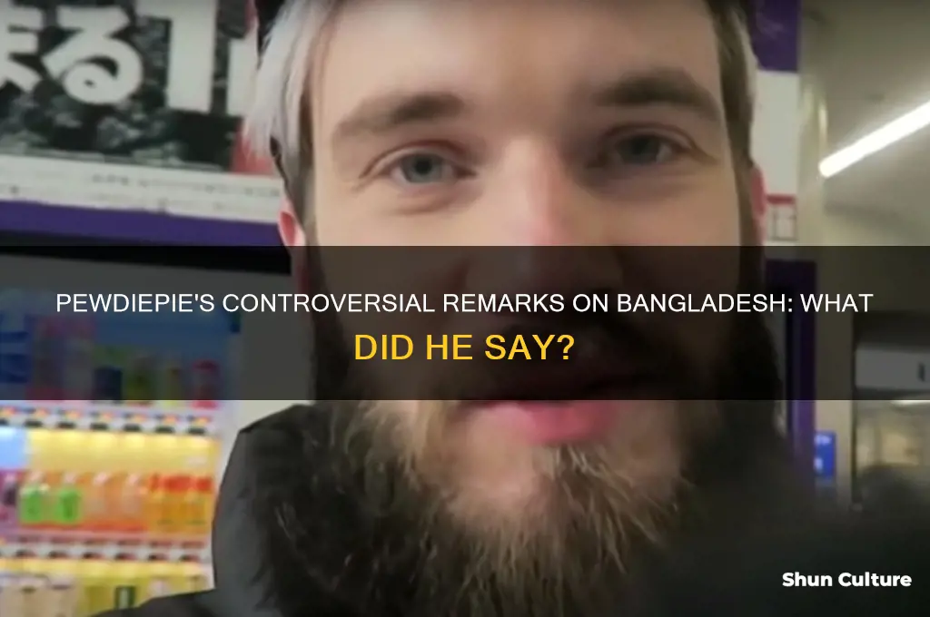 what did peudiepie say about bangladesh