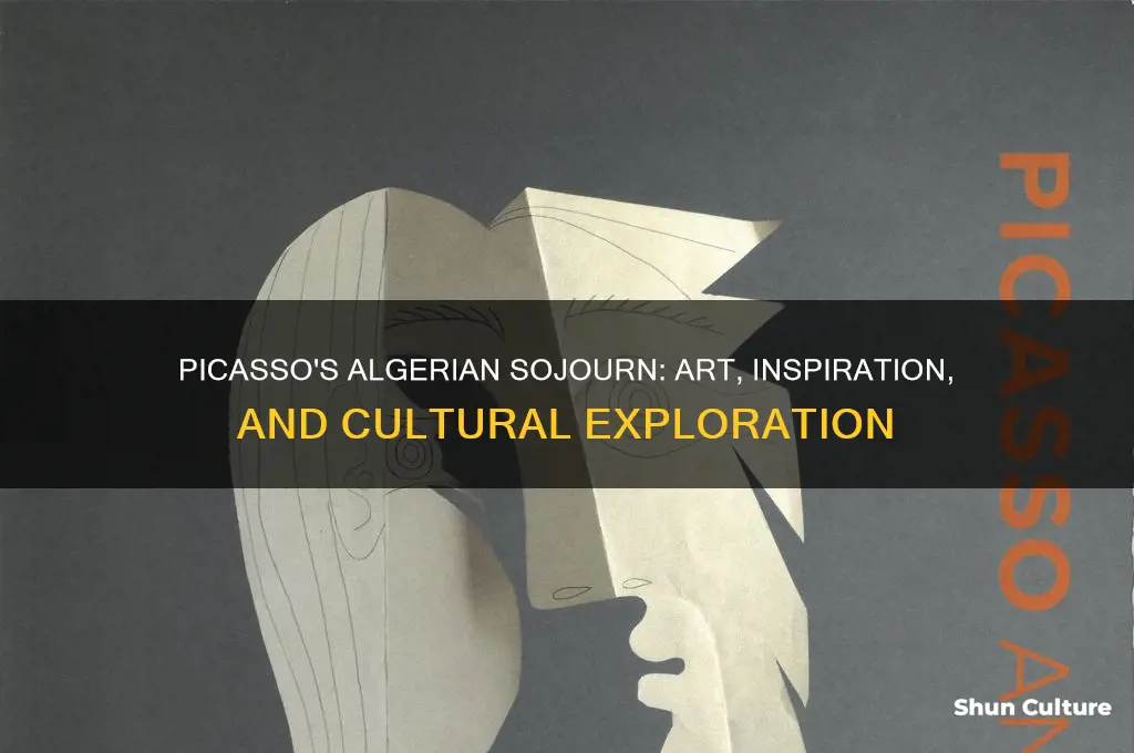 what did picasso do in algeria
