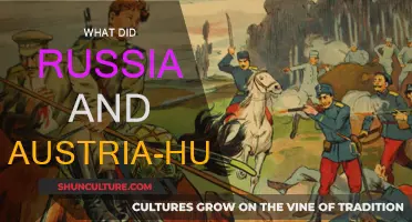 Russia and Austria-Hungary: A Complex Historical Relationship