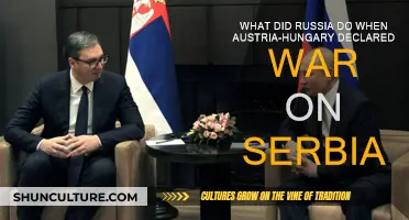 Russia's Response to Austria-Hungary's War Declaration on Serbia